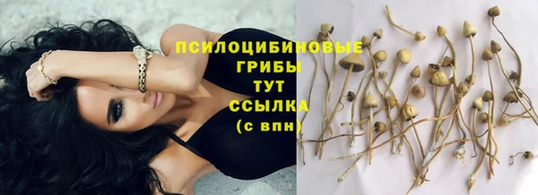 mdpv Михайлов