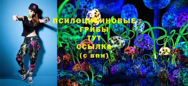 шишки Михайловка