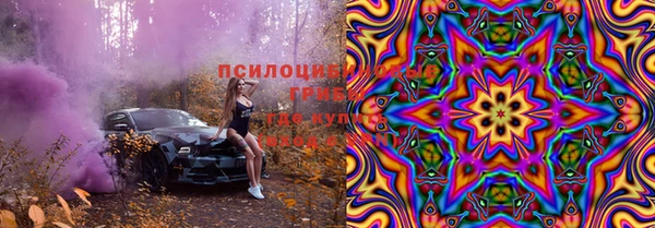 шишки Михайловка