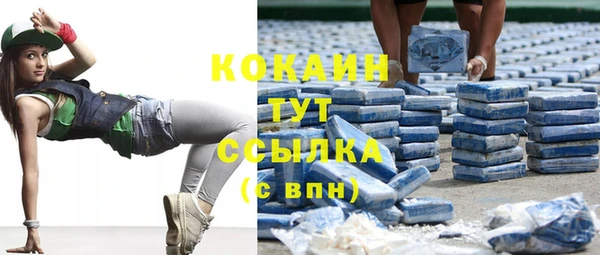 шишки Михайловка