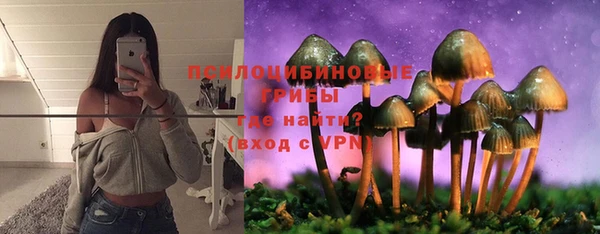 шишки Михайловка