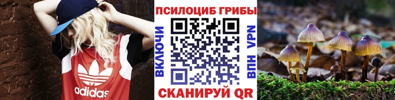 цены наркотик  Дно  мега сайт  Галлюциногенные грибы Psilocybine cubensis 